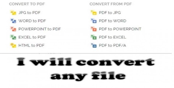 I will convert PDF to word or word to PDF or other file