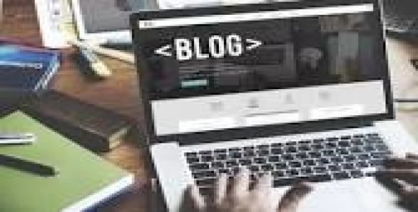 I will create articles for your blog at low cost