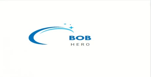 I am professional Logo Designer