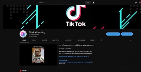 I am Professional Your Youtube Channle Create