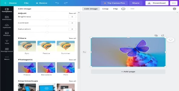 I will Giving you 10 Premium Canva File with Customization