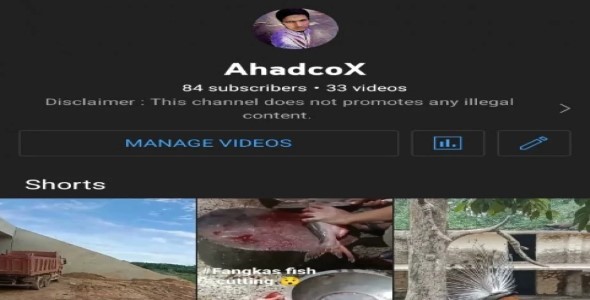 I will create a professional YouTube channel for you.