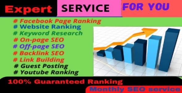 will do google top ranking with white hat SEO,monthly service