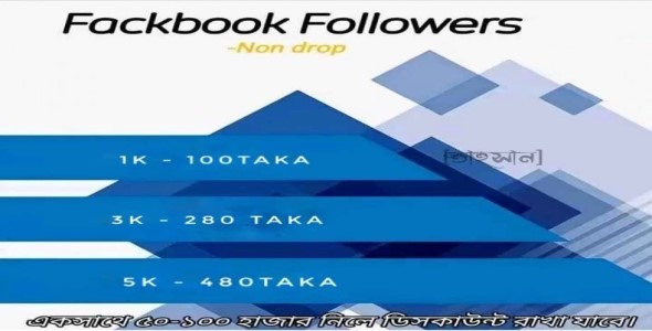 Facebook Profile and Page Follower