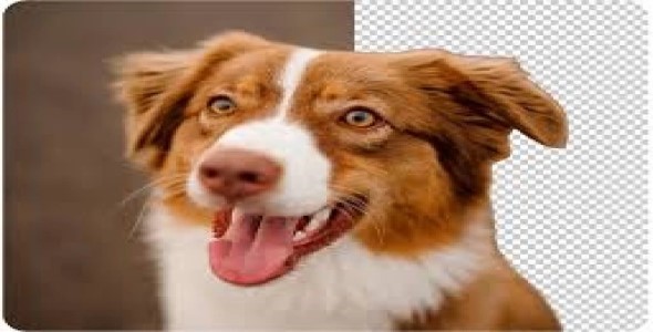 I will remove any kind of background images(20 images) within 2 days