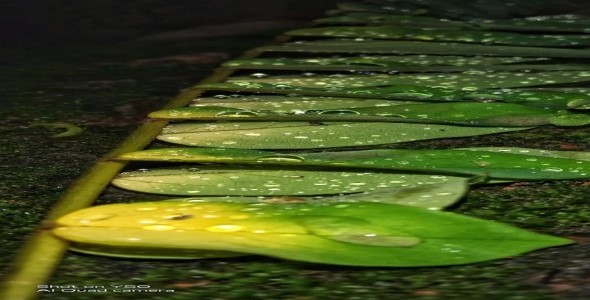 I can edit your normal photo to Professional Photo by editing