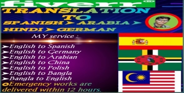 I will do write, translate and data entry