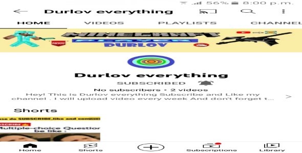 I will create proffesonal YouTube channle for you