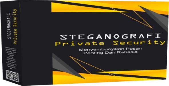 ULTRA RARE ITEM IN THE WORLD Steganography private security