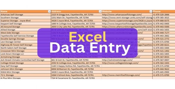 I will do online/Offline Data Entry | Data Scrape | Data Collect