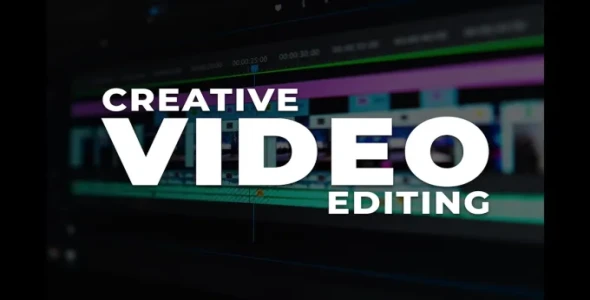 Professional Vedio Editor