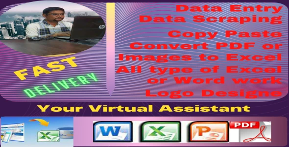 I will be your virtual assistant for data entry, data mining, copy paste, web research.