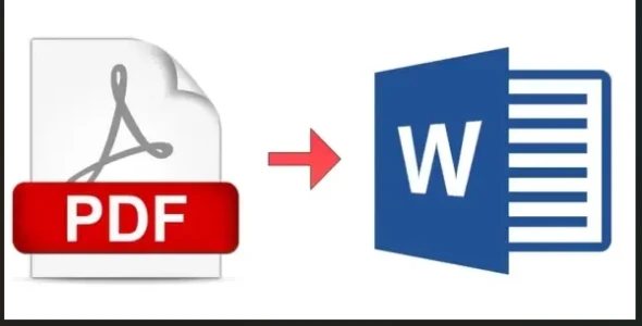 I will do fast and accurate PDF to Word conversion