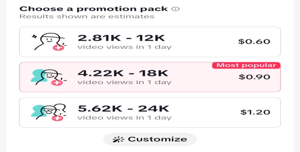 TikTok Video Boost Service