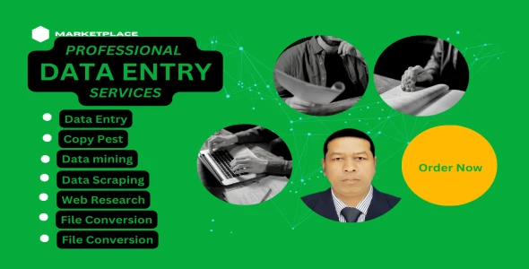 I am a Professional Data Entry Expert.