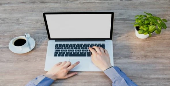 "I will do Data Entry, Professional Logo Design & Create New Gmail Accounts for You"