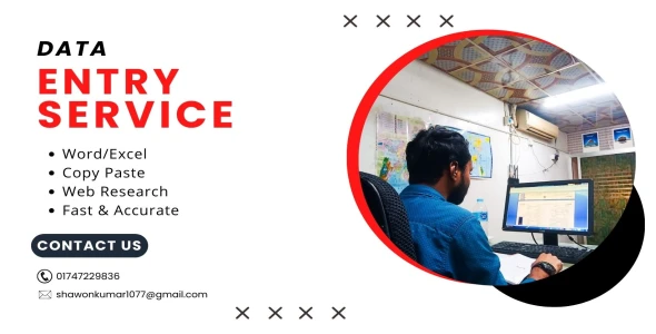 I will do professional Data Entry, Copy Paste and Web Research.