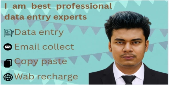 I am best professional data entry experts...