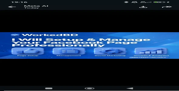 I will setup and manage your facebook page professionally for your business