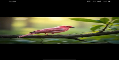 item-banner