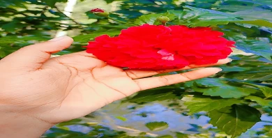 item-banner