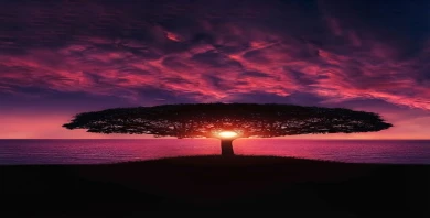item-banner
